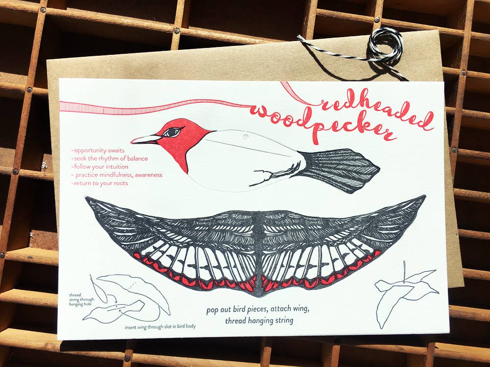 Blackbird Letterpress - Wholesale Everyday Greeting Card - woodpecker pop-out bird card2