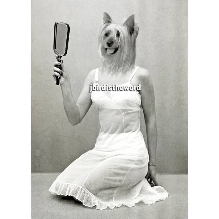 The Wild Oddisorium - Wholesale Art Print - Yorkie Dog Print