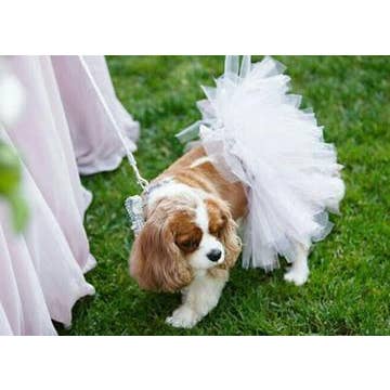 White Bridal Dog Tutu Skirt- Dog Tutu in White | Dog Dress for wholesale by Tutu Joli LLC
