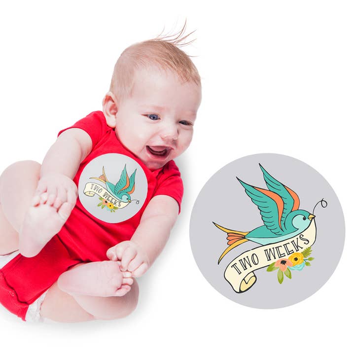 9th Letter Press - Wholesale Sticker - Kids & Baby - Month to Month Onesie Stickers