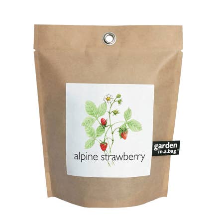 Potting Shed Creations, Ltd. - Wholesale Plant Seeds - Garden in a Bag | Strawberry