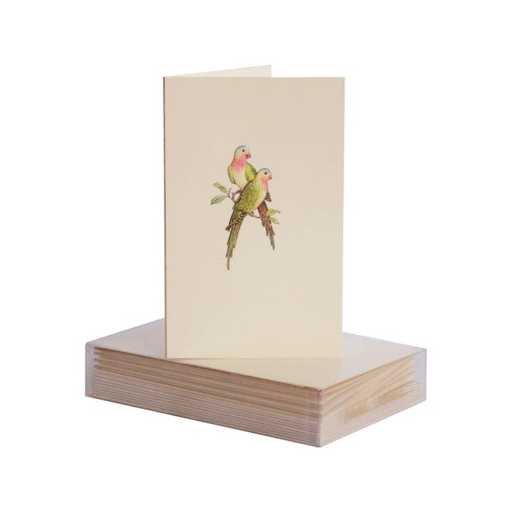 PAULA SKENE DESIGNS - Wholesale Stationery/Notecard Set - Parrots Mini Note Card