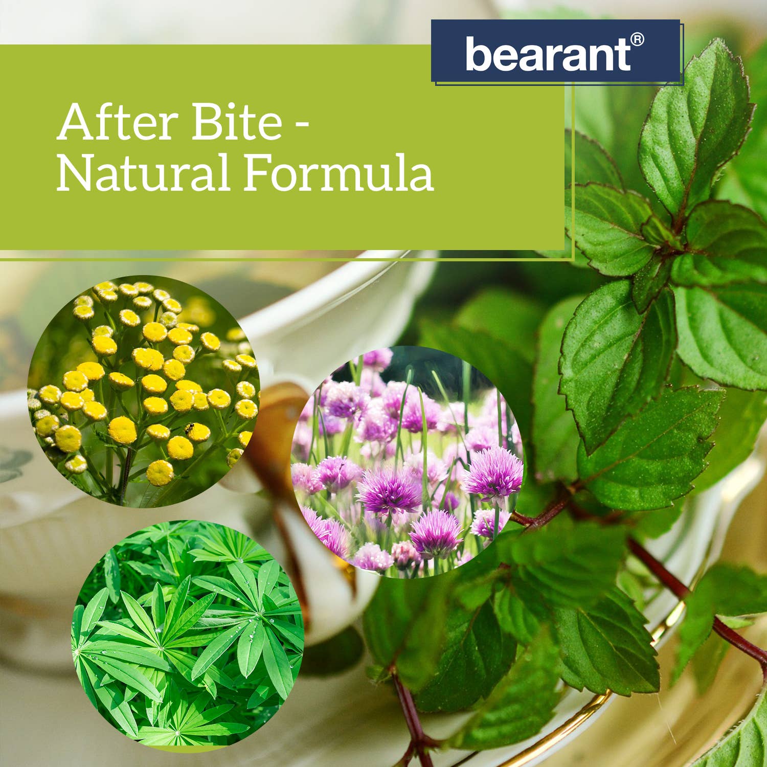 Kinven Bearant - Wholesale Insect Repellent - After Bite Mosquito Relief Stick (5 pack)4