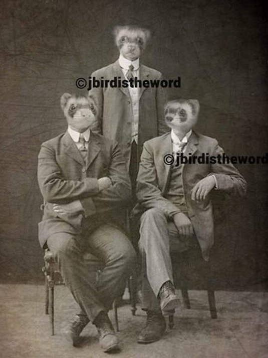 Ferret Brothers Print, Business of Ferrets, Office Art for wholesale by The Wild Oddisorium