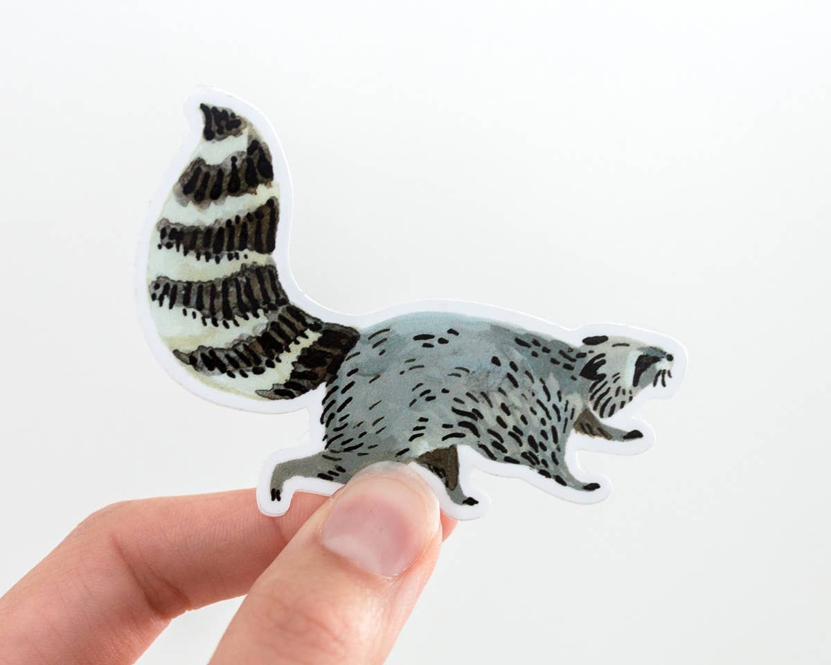 Wildship Studio - Vente Autocollant - Autocollant en vinyle Motif raton laveur animal1