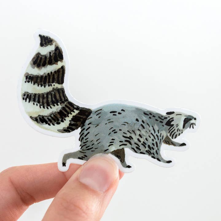 Wildship Studio - Vente Autocollant - Autocollant en vinyle Motif raton laveur animal1