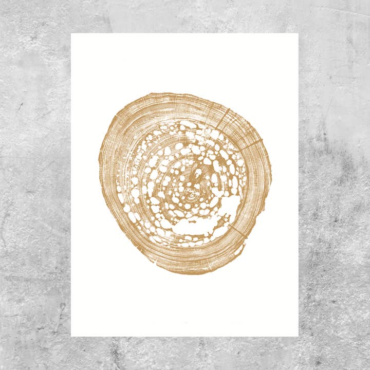 Timber Wood Prints – Engroshandel Kunsttryk – Pecky Loddet Cypress i Pantone 7562, 18 „x24" unframed0