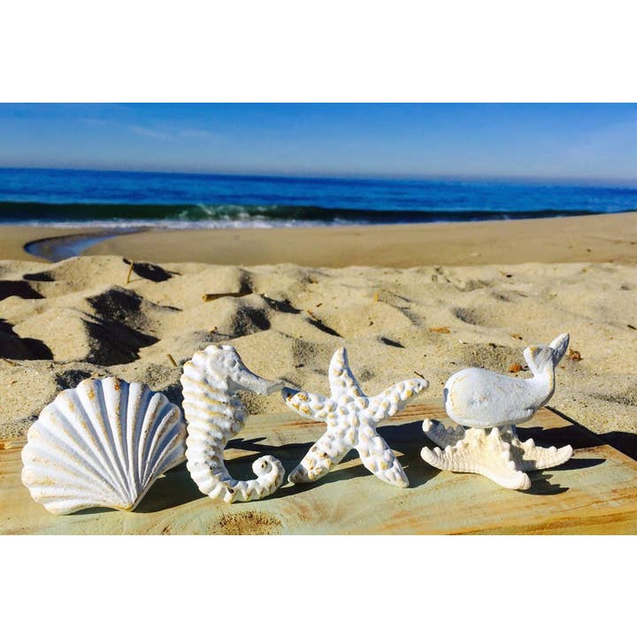 Set of 2 - Nautical Drawer And Door Knobs for wholesale by Mahalo Market