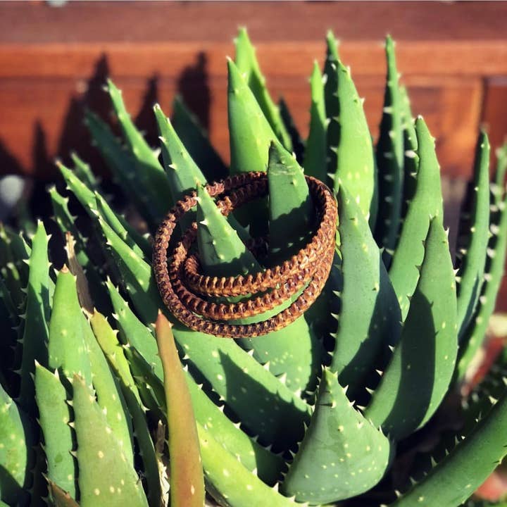 ASTALI - Wholesale Woven/Braided Bracelet - Snake Vertebrae Triple Wrap Bracelet, African Snake Bones5