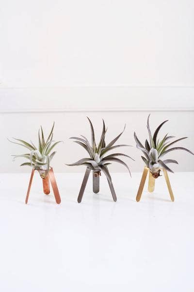 Rare Bird Co. + Pauline Stanley Studio - Wholesale Plant Pot - Tripod Air Plant Holder1