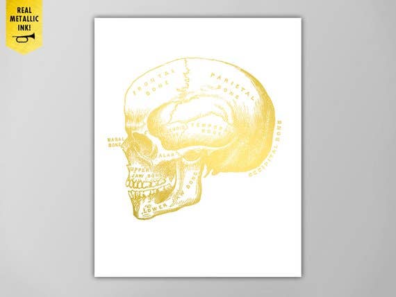 The National Anthem - Wholesale Art Print - 11” x 14” Gold Skull Metallic Art Print0