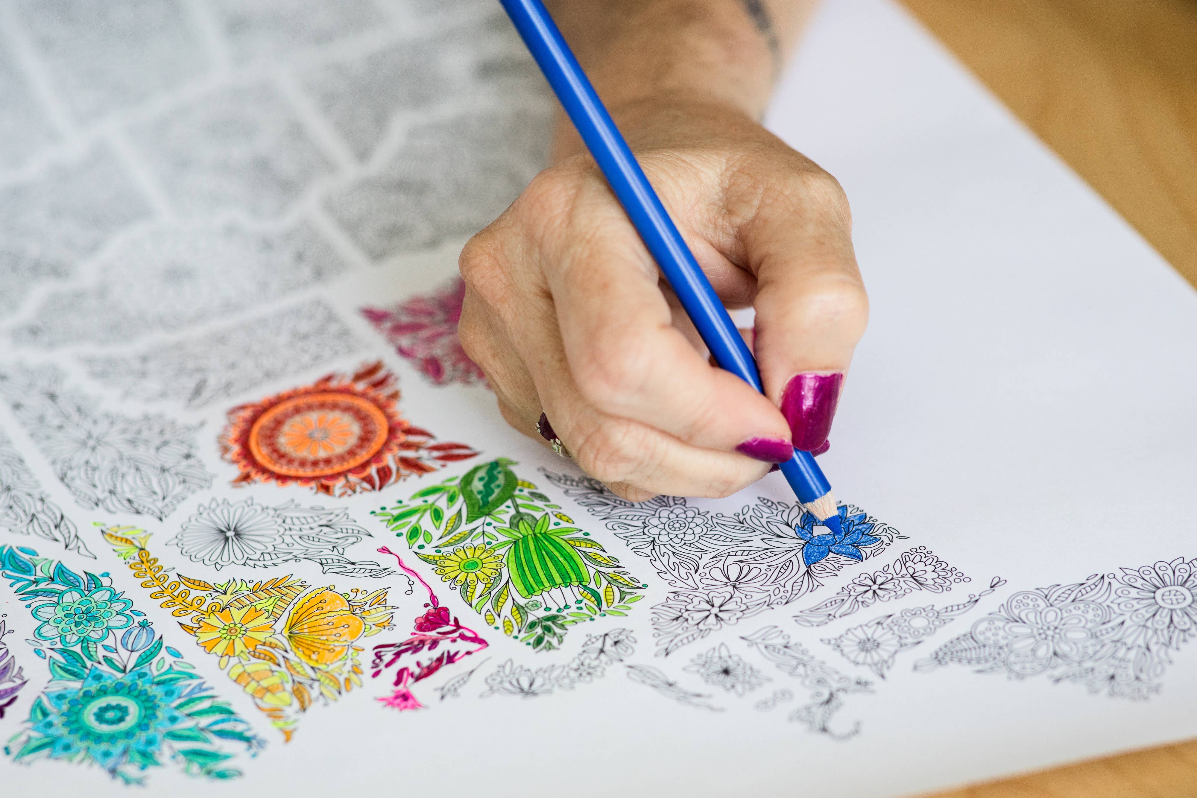 Anna Grunduls Design - Venta al por mayor Libro para colorear - Adultos - Flores Estados Unidos Mapa para colorear6