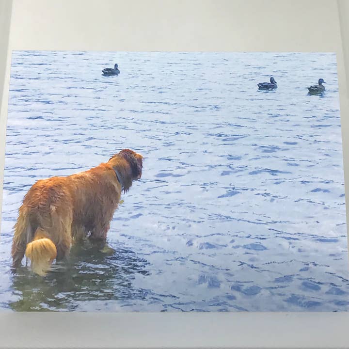 'Duck Hunt' : Note Card for wholesale by Sean Holloran Art