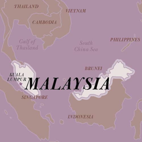 Salt Traders - Wholesale Pepper/Peppercorns - 5 lb Sarawak Black Pepper2