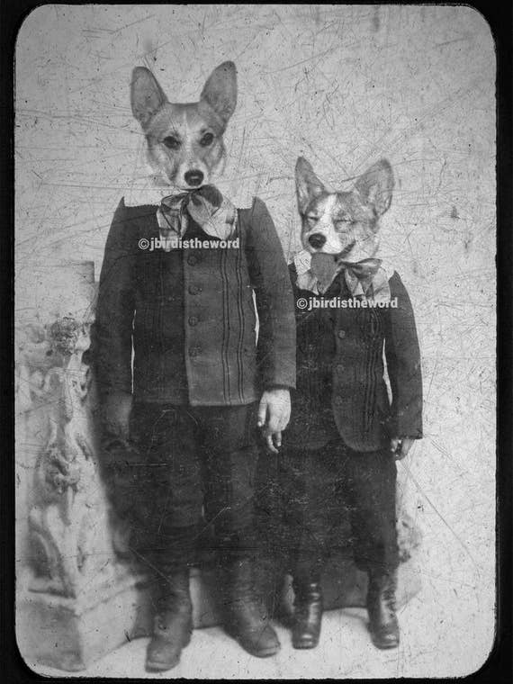 Corgi Brothers Print for wholesale by The Wild Oddisorium