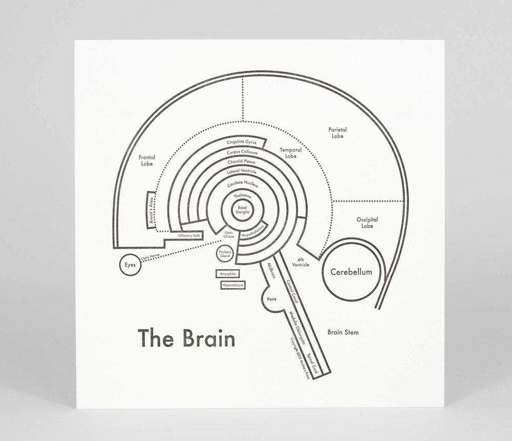 Archie's Press - Wholesale Art Print - 8'' x 8'' The Brain Print2