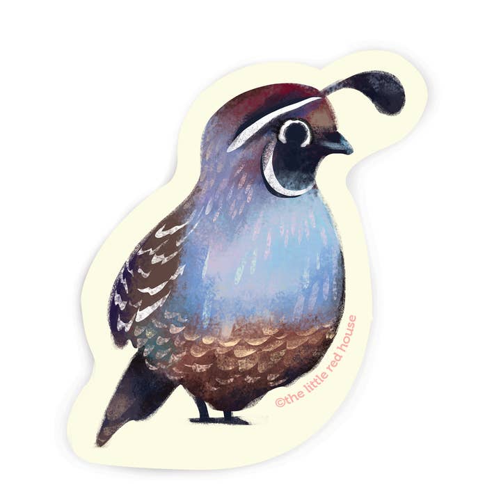 Kalifornien vaktel fågel vinyl klistermärke för wholesale av The Little Red House