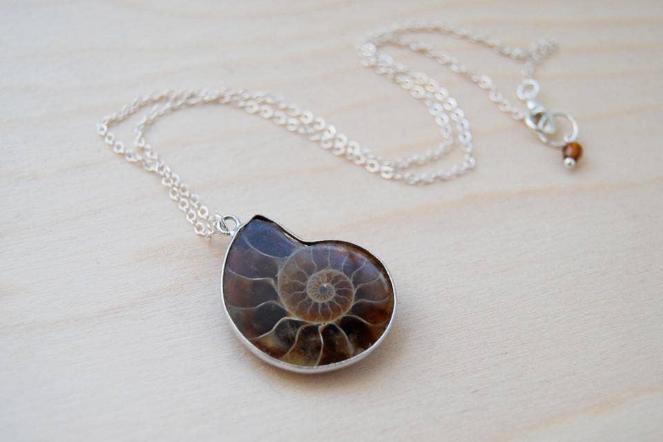 Enchanted Leaves - Wholesale Pendant/Charm Necklace - 18" Ammonite Fossil Shell Necklace5
