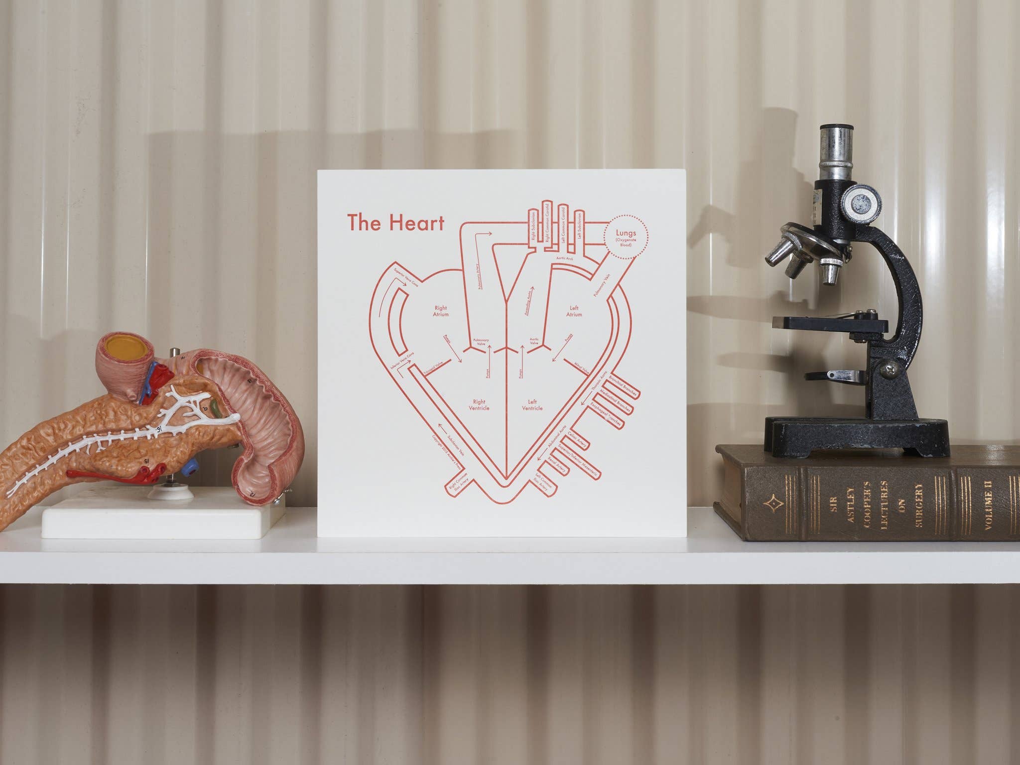Archie's Press - Wholesale Art Print - The Heart Print2