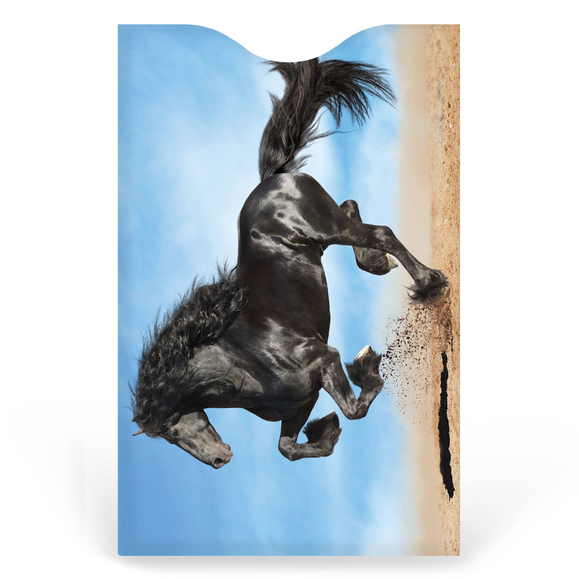 Monarque – Großhandel Kartenetui – Unisex – 6er-Set Kreditkartenhülle für Pferde3