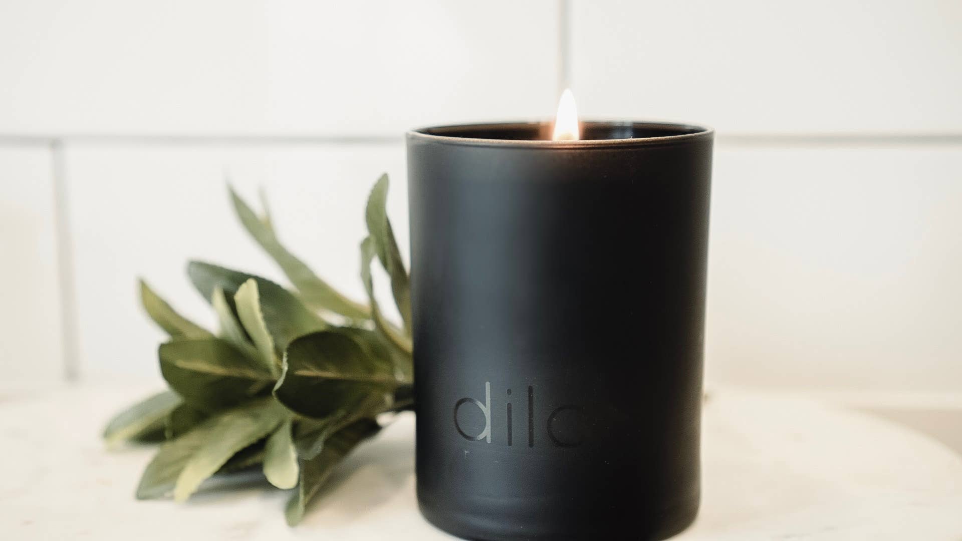dilo - Wholesale Jar/Filled Candle - Shades Collection: Amber + Oakmoss3