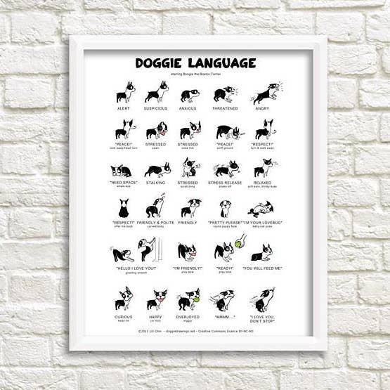 8'' x 10'' Doggie Language Art Print for wholesale by Lili Chin Art