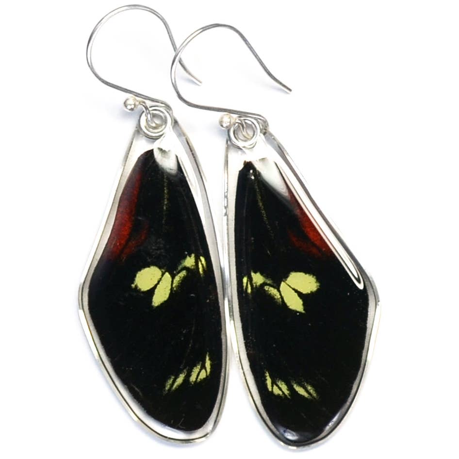 Wingstitution - Wholesale Dangle Earrings - 0255 Butterfly Earrings, Doris Longwing Butterfly, top wings0