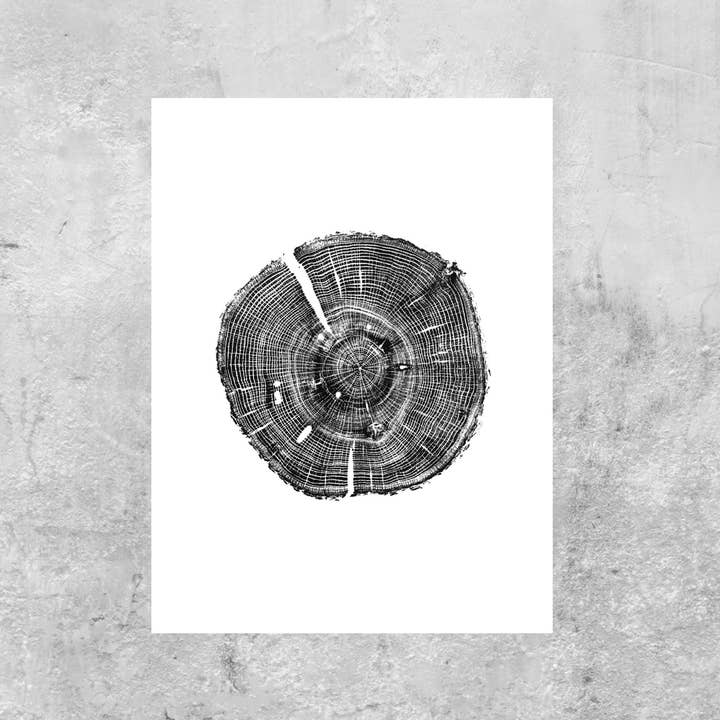 White Oak, 18"x24" unframed for wholesale by Timber Wood Prints