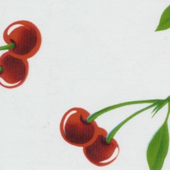 Oilcloth International - Wholesale Tablecloth - 84" x 47.5" Rectangle Stella Tablecloth7