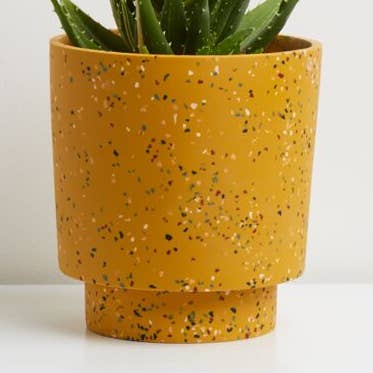 Capra Designs - Venta al por mayor Macetas - Terrazo - Maceta para banjo, color dorado0