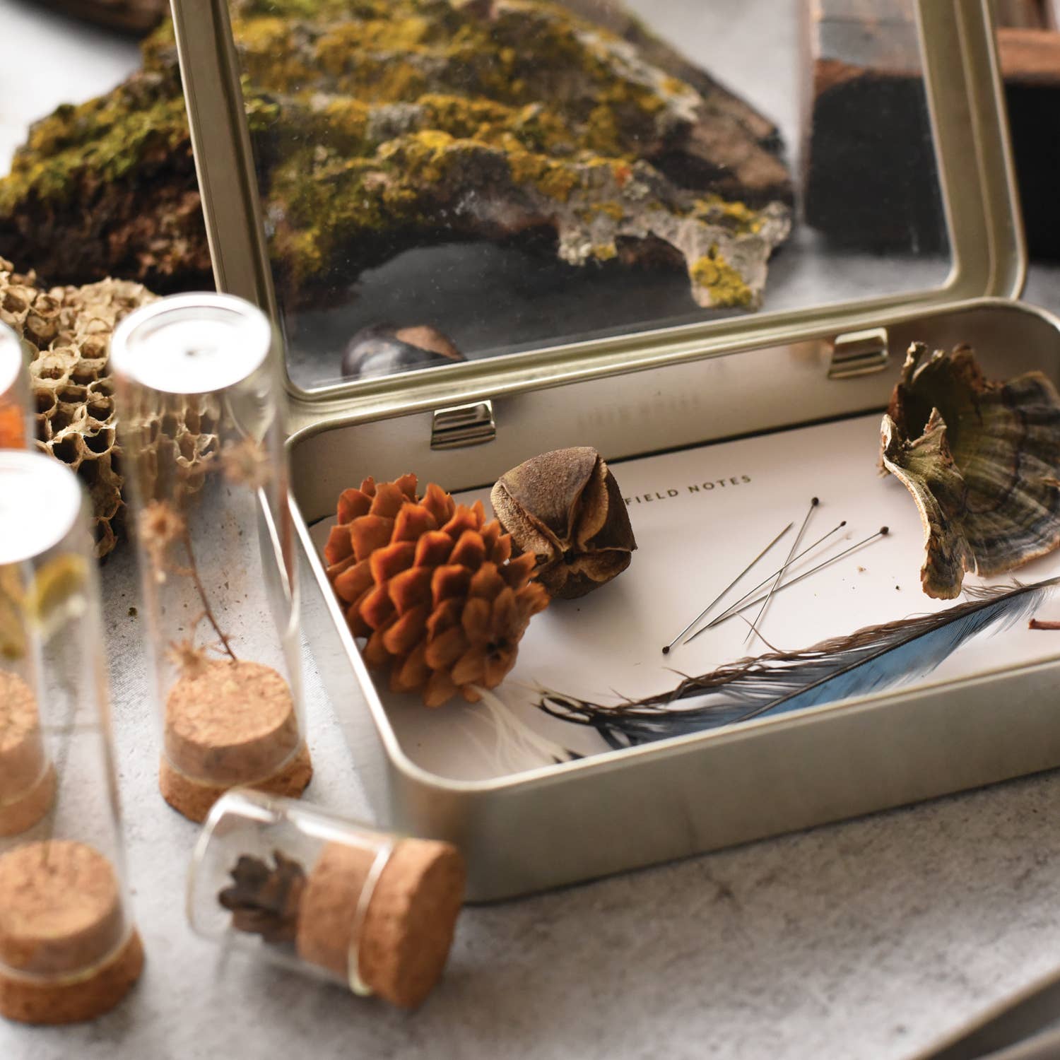 June & December - Vendita all'ingrosso Kit per lavoretti fai da te - Kit per la raccolta di campioni3