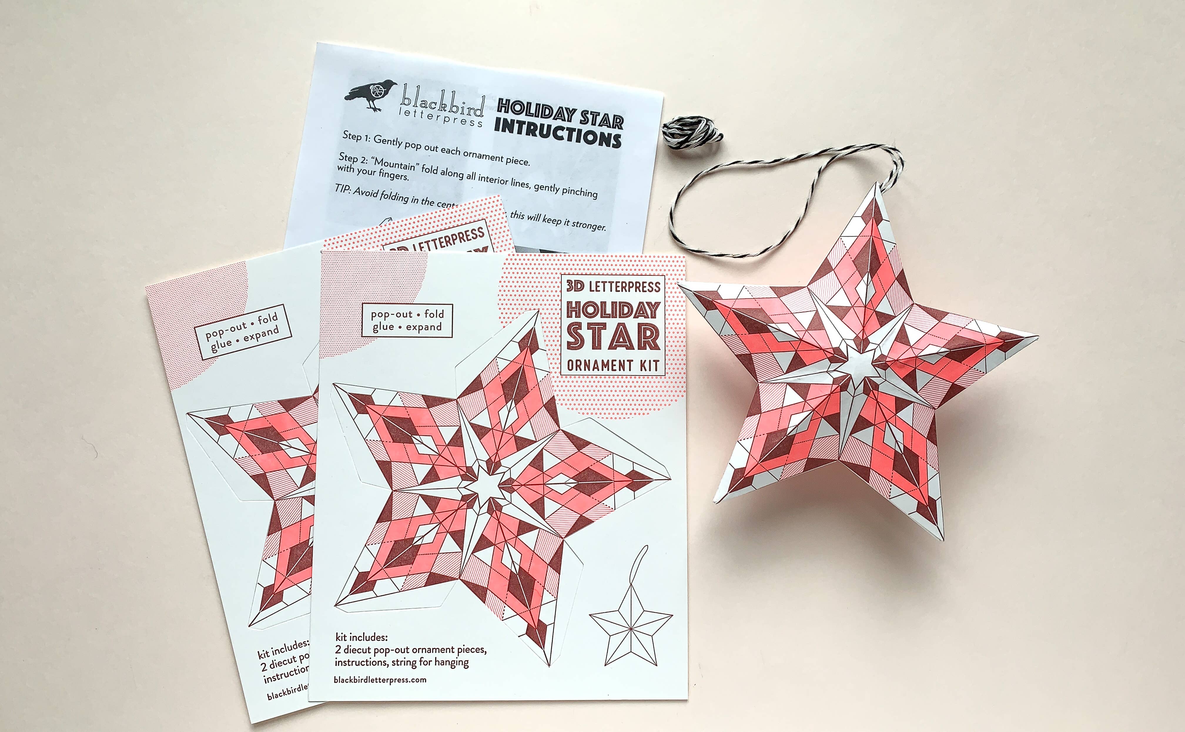 Blackbird Letterpress - Wholesale DIY Craft Kit - geometric star DIY ornament kit0