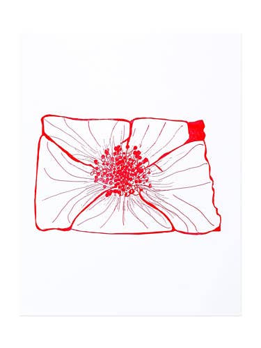 North Dakota Wild Prairie Rose Print for wholesale by Thimblepress