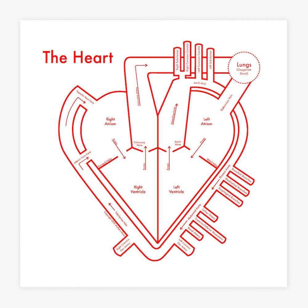 Archie's Press - Wholesale Art Print - The Heart Print1