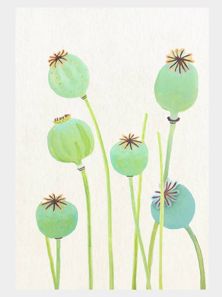11” x 16” Poppy Pods on Ecru Art Print for wholesale by India & Purry by Jessica Hollander