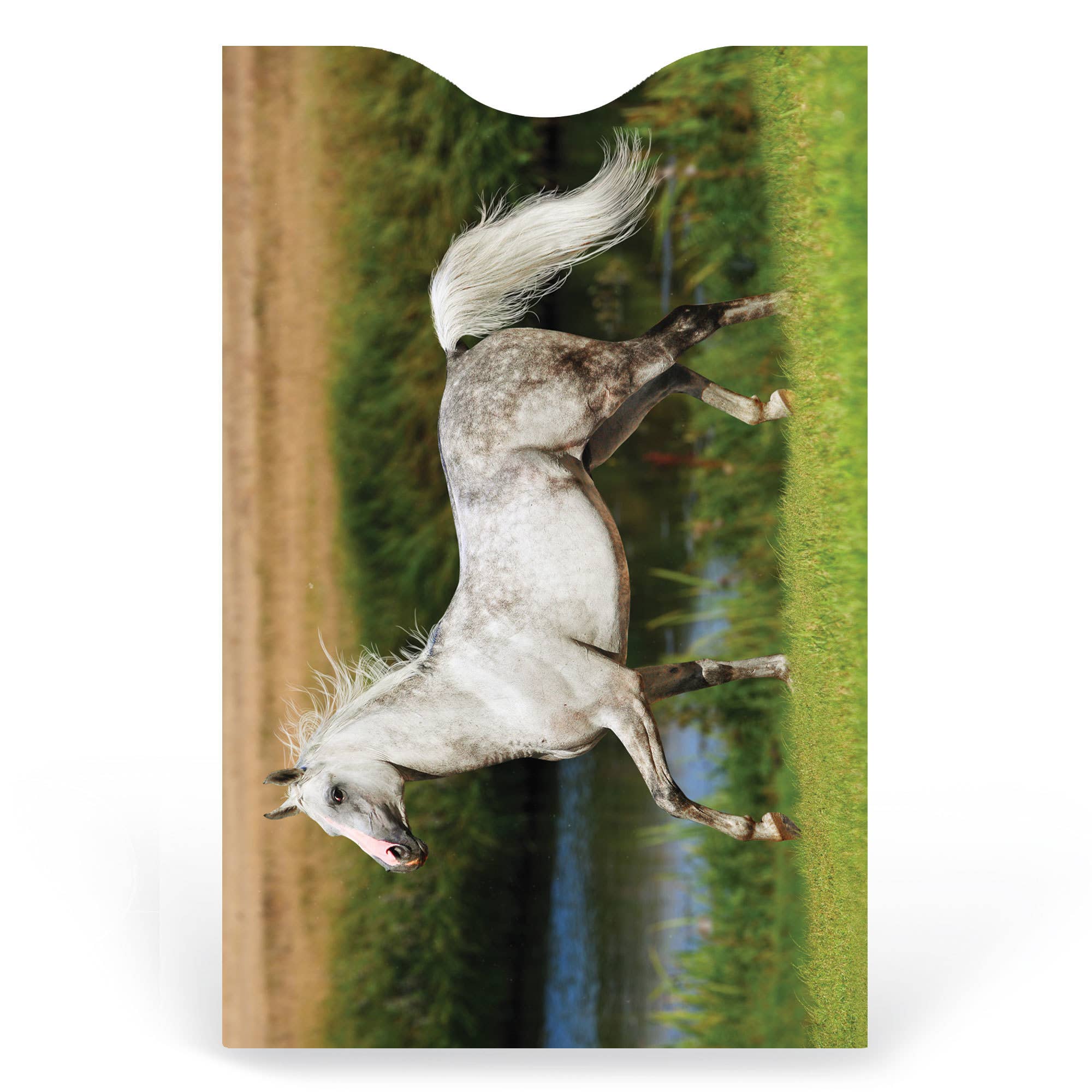 Monarque – Großhandel Kartenetui – Unisex – 6er-Set Kreditkartenhülle für Pferde1