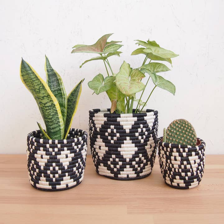 Storage Plant Basket: Ndora (Set of 3) for wholesale by Amsha