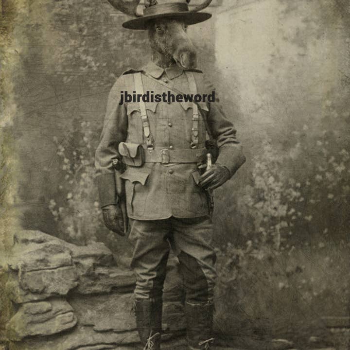 The Wild Oddisorium - Wholesale Art Print - Moose Print, Military Veteran, Cottage Style, Dining Room