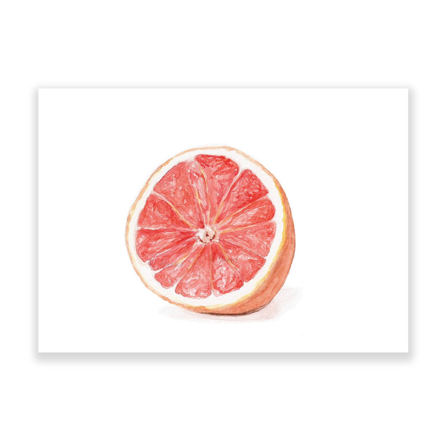 Rachel Alvarez Art - Wholesale Art Print - Grapefruit Art Print0