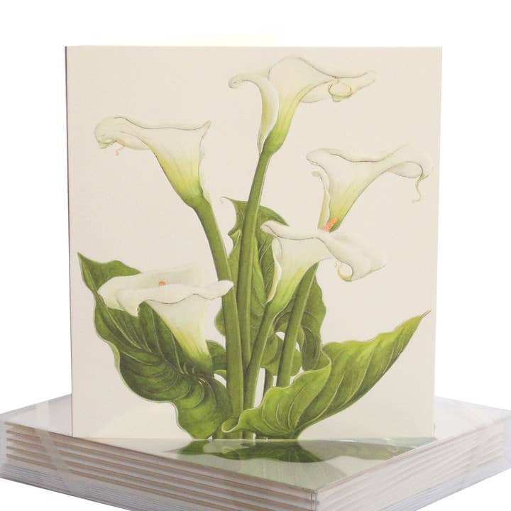 Calla Lily Group Sympathy Card for wholesale by PAULA SKENE DESIGNS