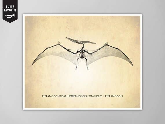 The National Anthem - Wholesale Art Print - 11” x 14” Pteranodon Art Print0