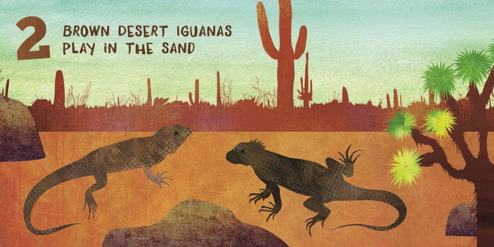 Familius, LLC - Wholesale Baby & Toddler Book (0-2) - Let’s Count Arizona2