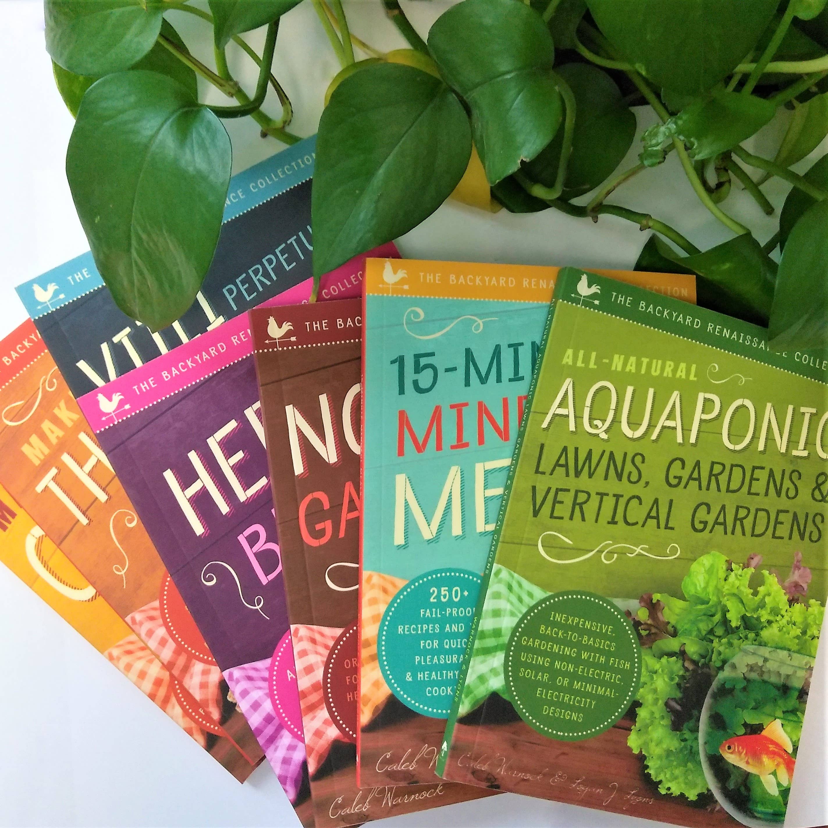 Familius, LLC - Wholesale Cookbooks & Food - Simple Homemade Fruit Pectin1