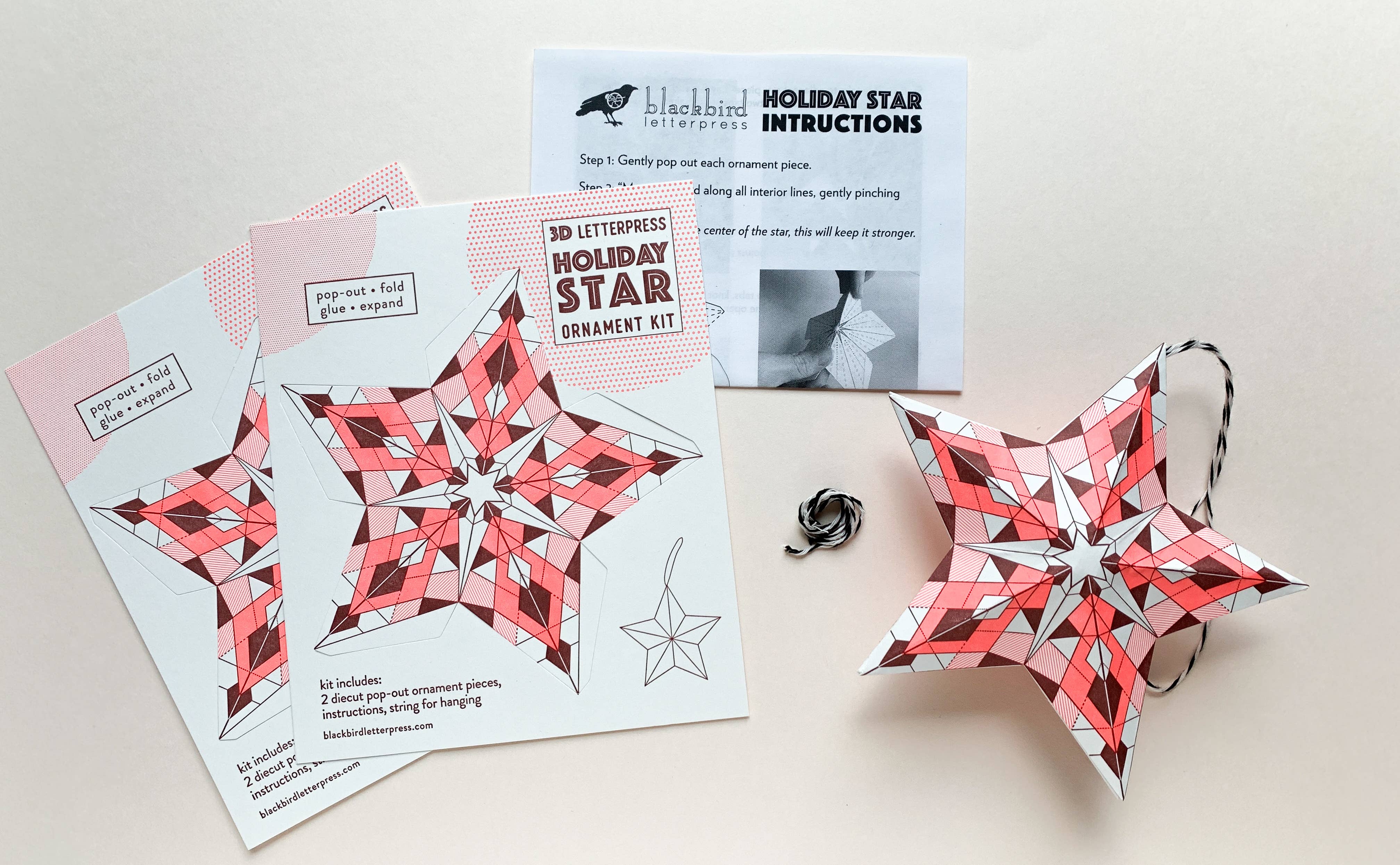 Blackbird Letterpress - Wholesale DIY Craft Kit - geometric star DIY ornament kit3