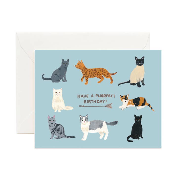 Birthday Cats Card, Cute Birthday Animal Card, Cat Kitten for wholesale by Forage Paper Co.
