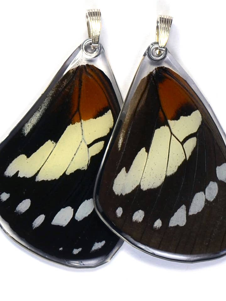 0410 Solo ciondolo a forma di farfalla, regina della foresta di Traiano, ala superiore per la vendita all'ingrosso da parte di Wingstitution