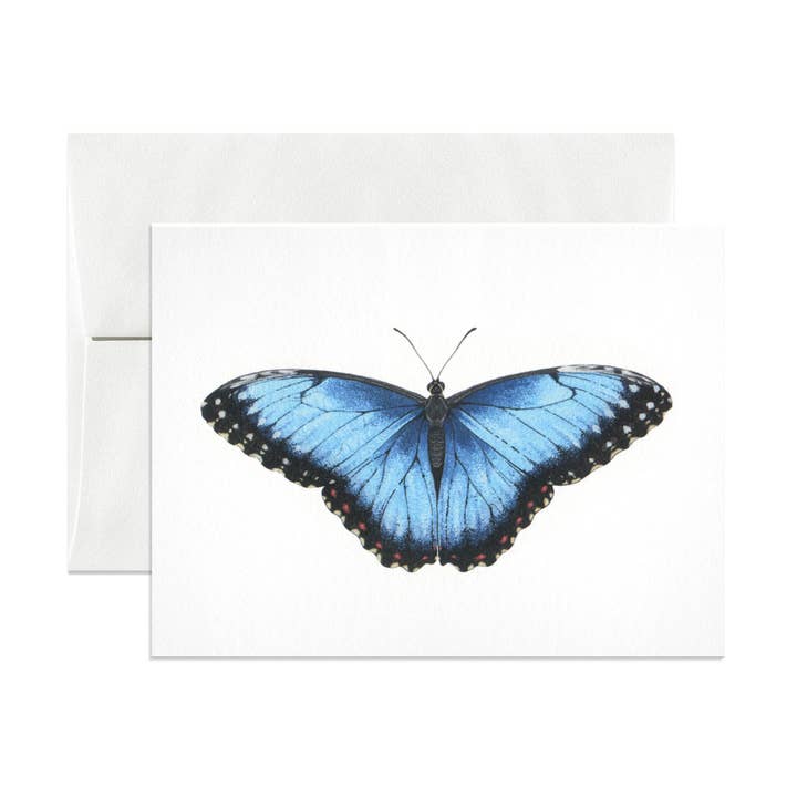 Blue Morpho Greeting Card for wholesale by Open Sea