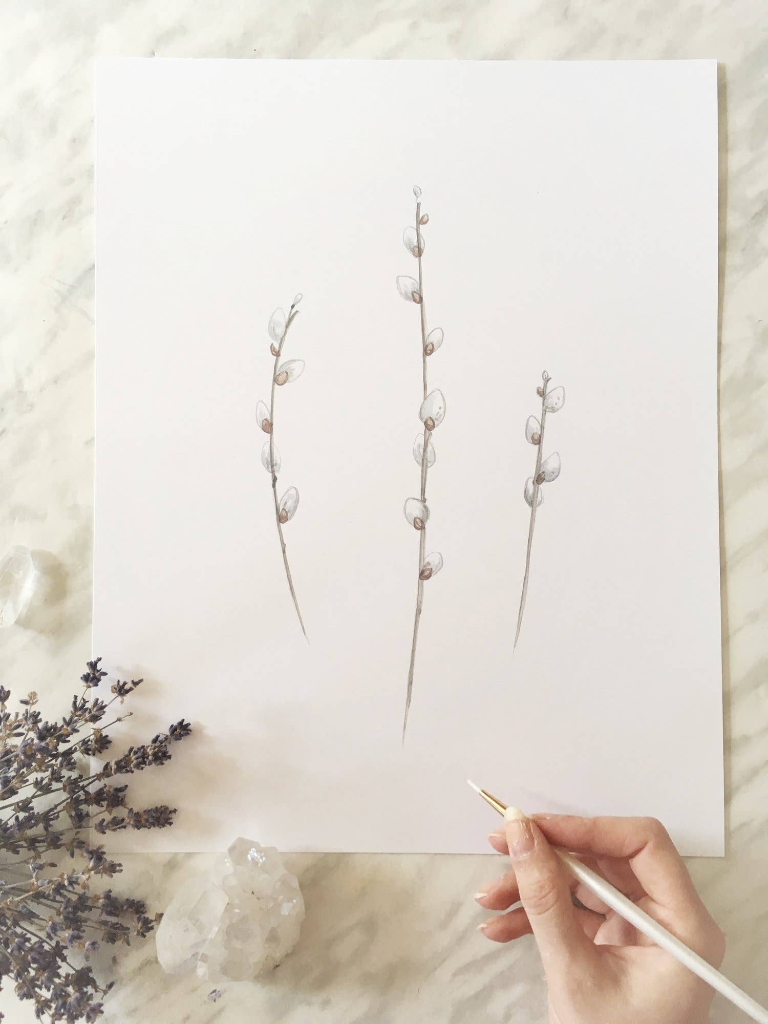 Katelyn Morse Art - Wholesale Art Print - Pussy Willows Art Print 11X143