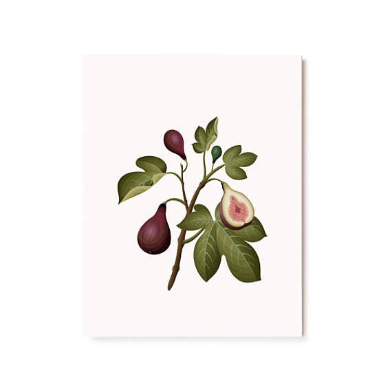 Clap Clap - Wholesale Everyday Greeting Card - Botanical Scented Card - Fig2