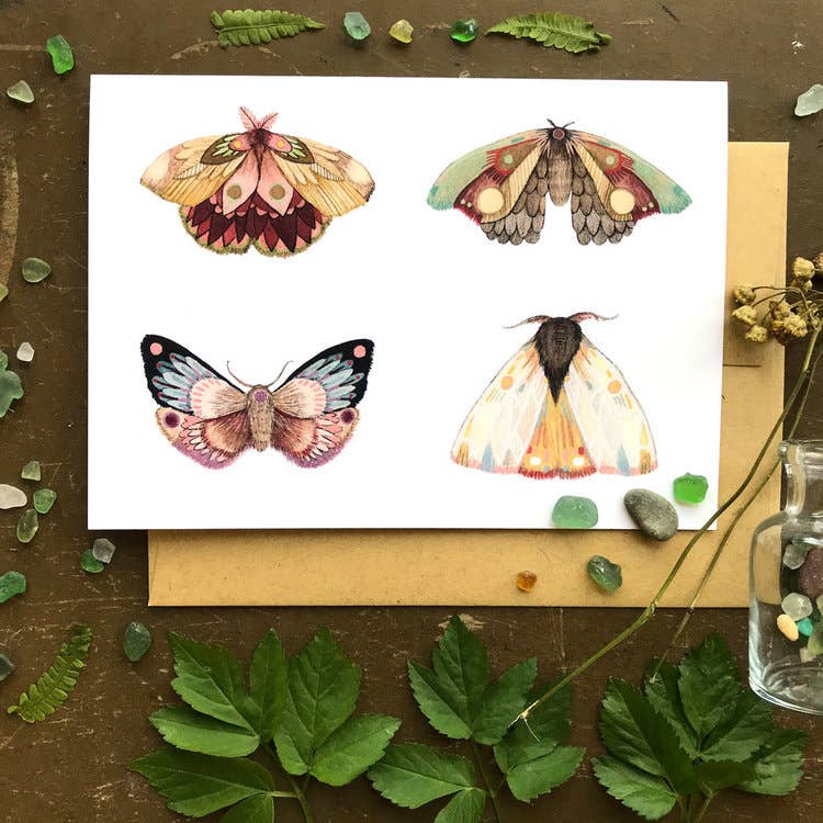 Polanshek of the Hills - Wholesale Everyday Greeting Card - Card - Moths Part III - Collector1